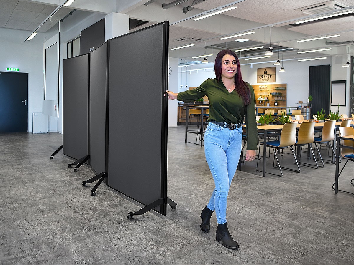 Pinnwand pinGo® DUO